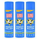 Aerosol Insecticide Spray Cockroach Killer Spray Household Insecticide Sprayer