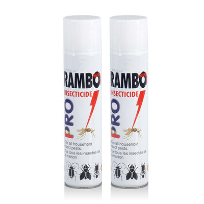 OEM Aerosol Insecticide Spray 300ml Water Based insecticide Flies Mosquitoes